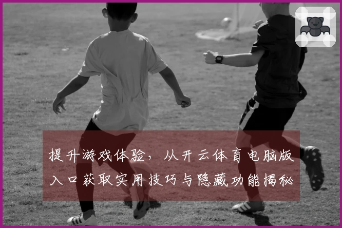 提升游戏体验，从开云体育电脑版入口获取实用技巧与隐藏功能揭秘