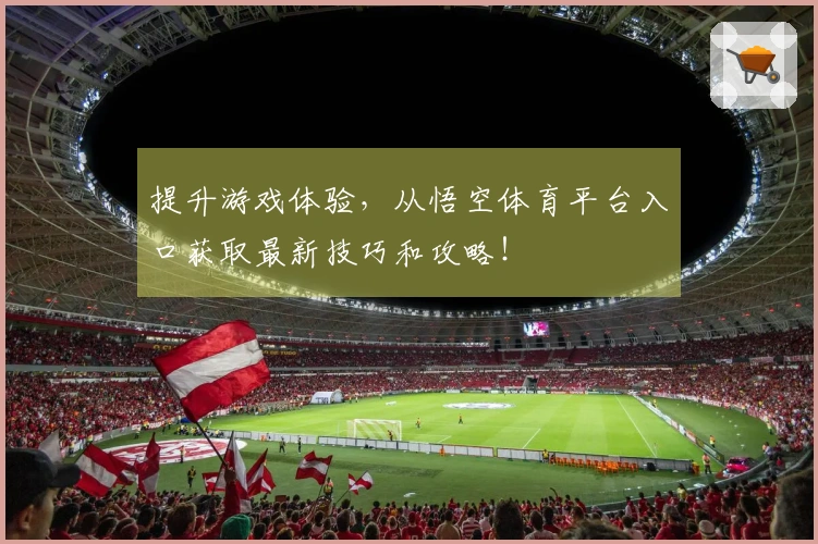 提升游戏体验，从悟空体育平台入口获取最新技巧和攻略！